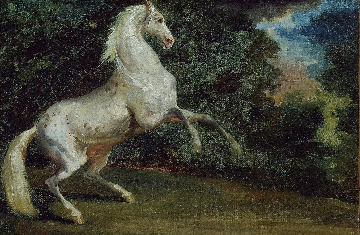 Cavalo empinado, 180812. de Unbekannt