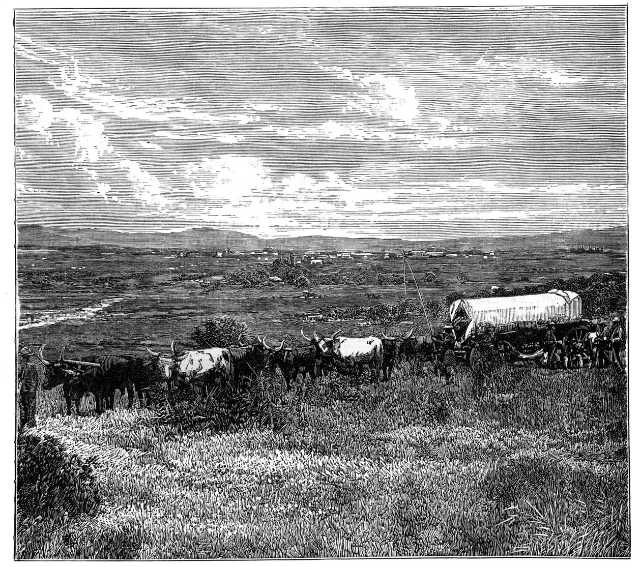 Pretória, África do Sul, c1890 de Unbekannt