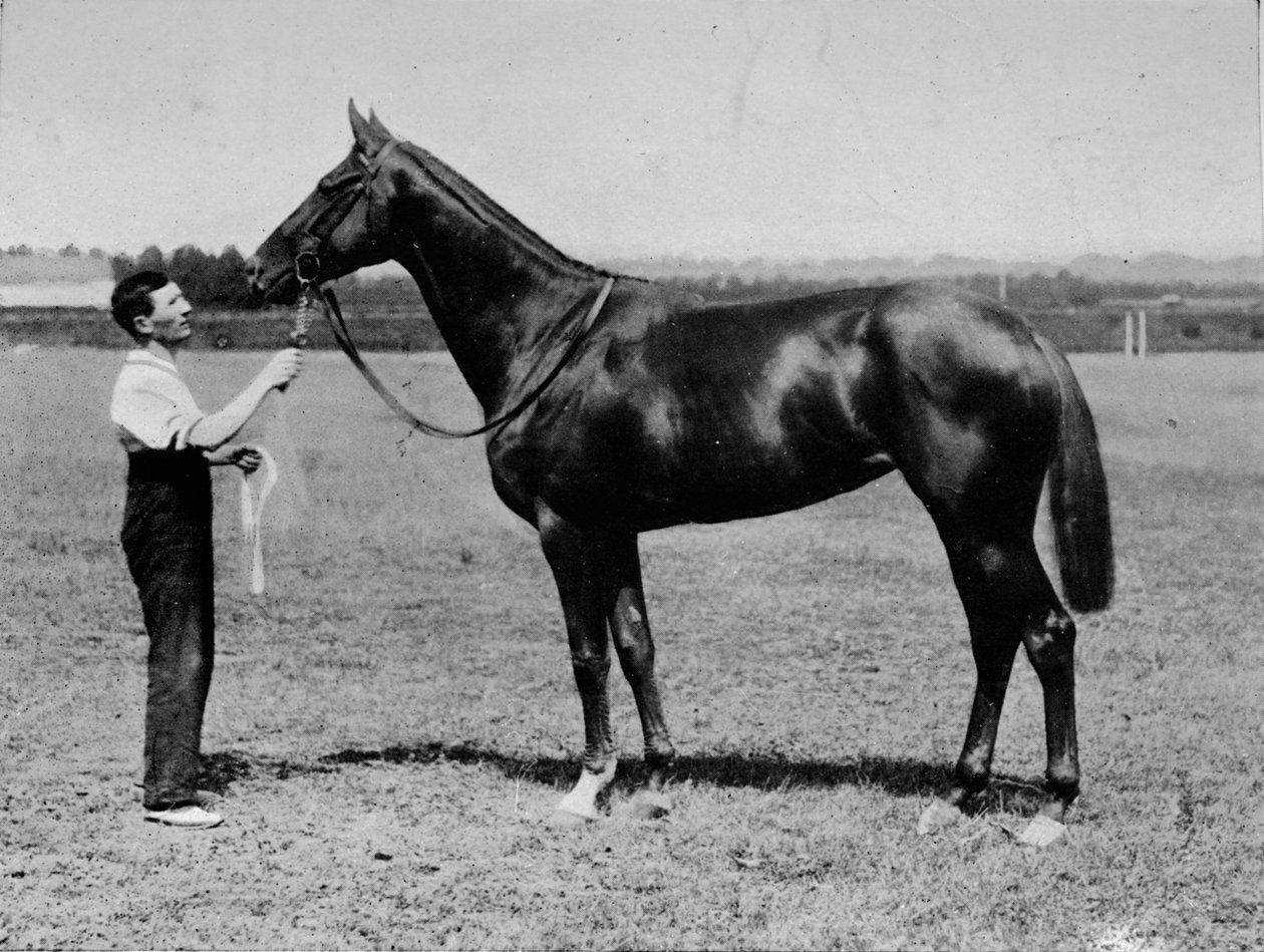 Polly, 1901-1931, 1911 de Unbekannt