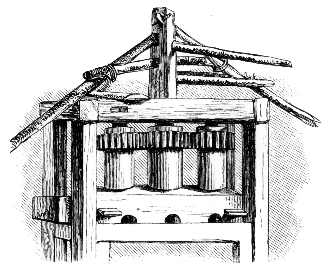 Primitive sugar mill, Santo Domingo, 1873 de Unbekannt