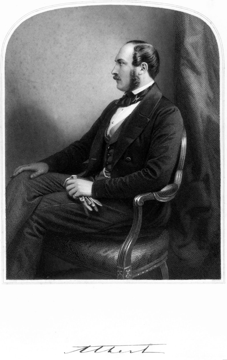 Príncipe Alberto, Consorte da Rainha Vitória, c 1850-1859 de Unbekannt