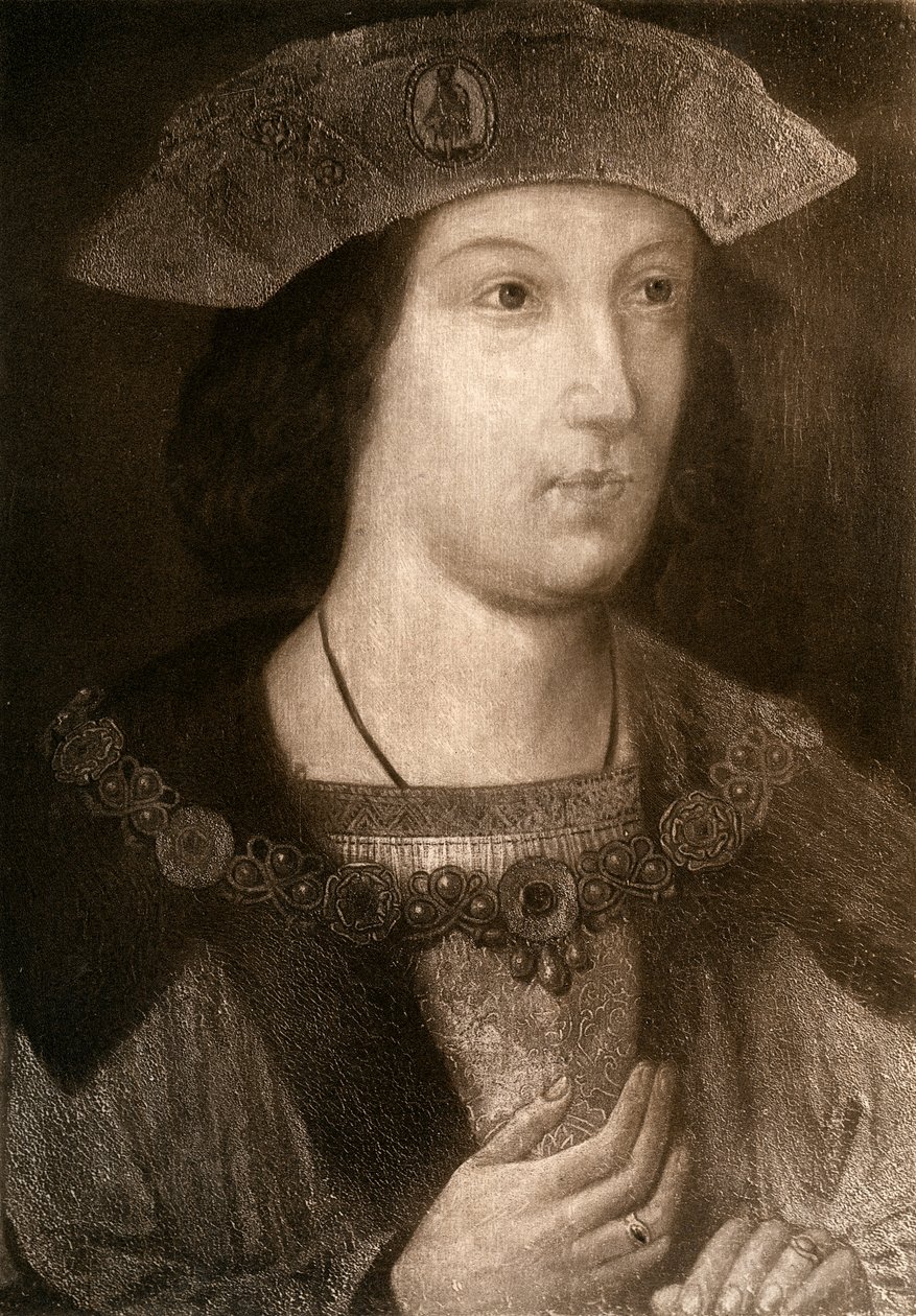 Príncipe Arthur, filho mais velho de Henrique VII, c1502, 1902 de Unbekannt