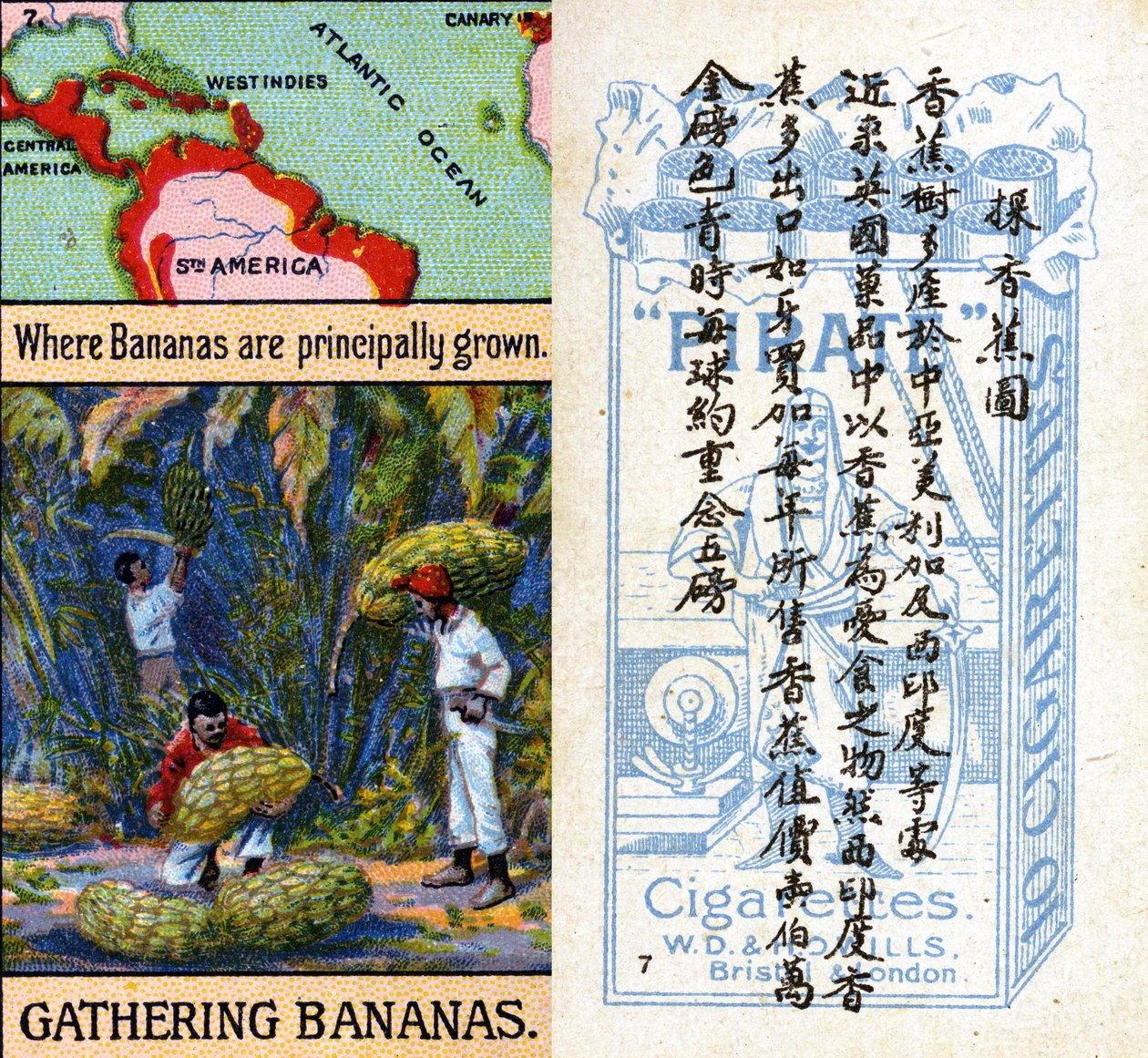 Principais áreas de cultivo de bananas, da série de cartões de cigarro "Produtos do Mundo" produzidos pela Wills Cigarros "Pirata" para o mercado na China de Unbekannt