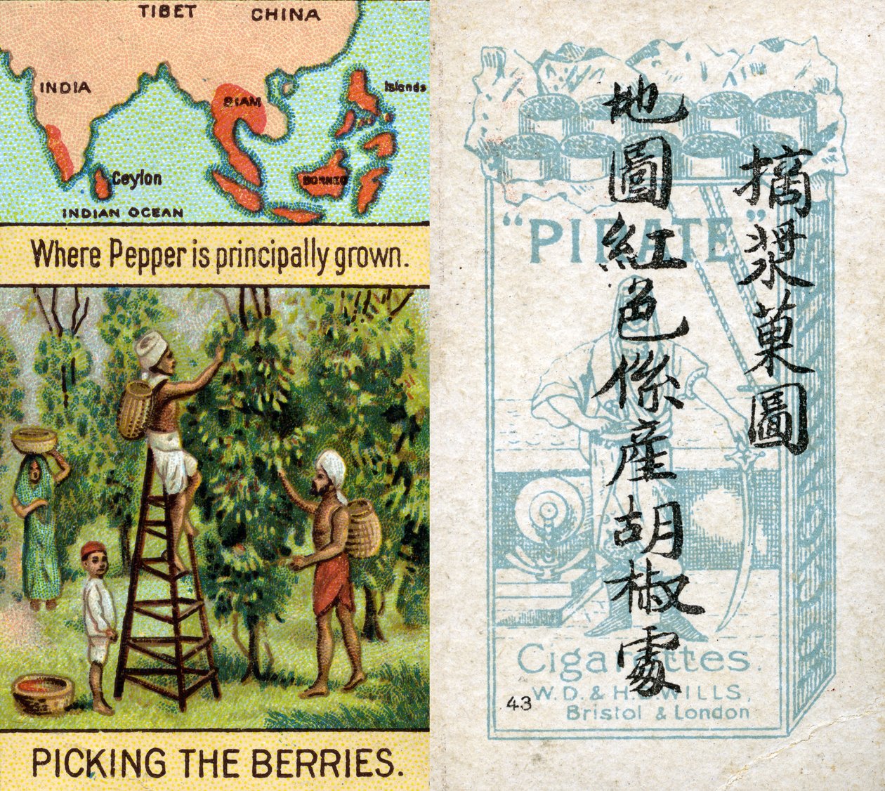 Principais áreas para a produção de pimenta, da série de cartões de cigarros "Produtos do Mundo" produzidos pela Wills Cigarros "Pirata" para o mercado na China de Unbekannt