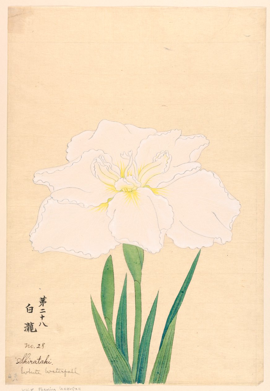 Impressão, Cachoeira Branca (Shirataki), No. 28 de Unbekannt
