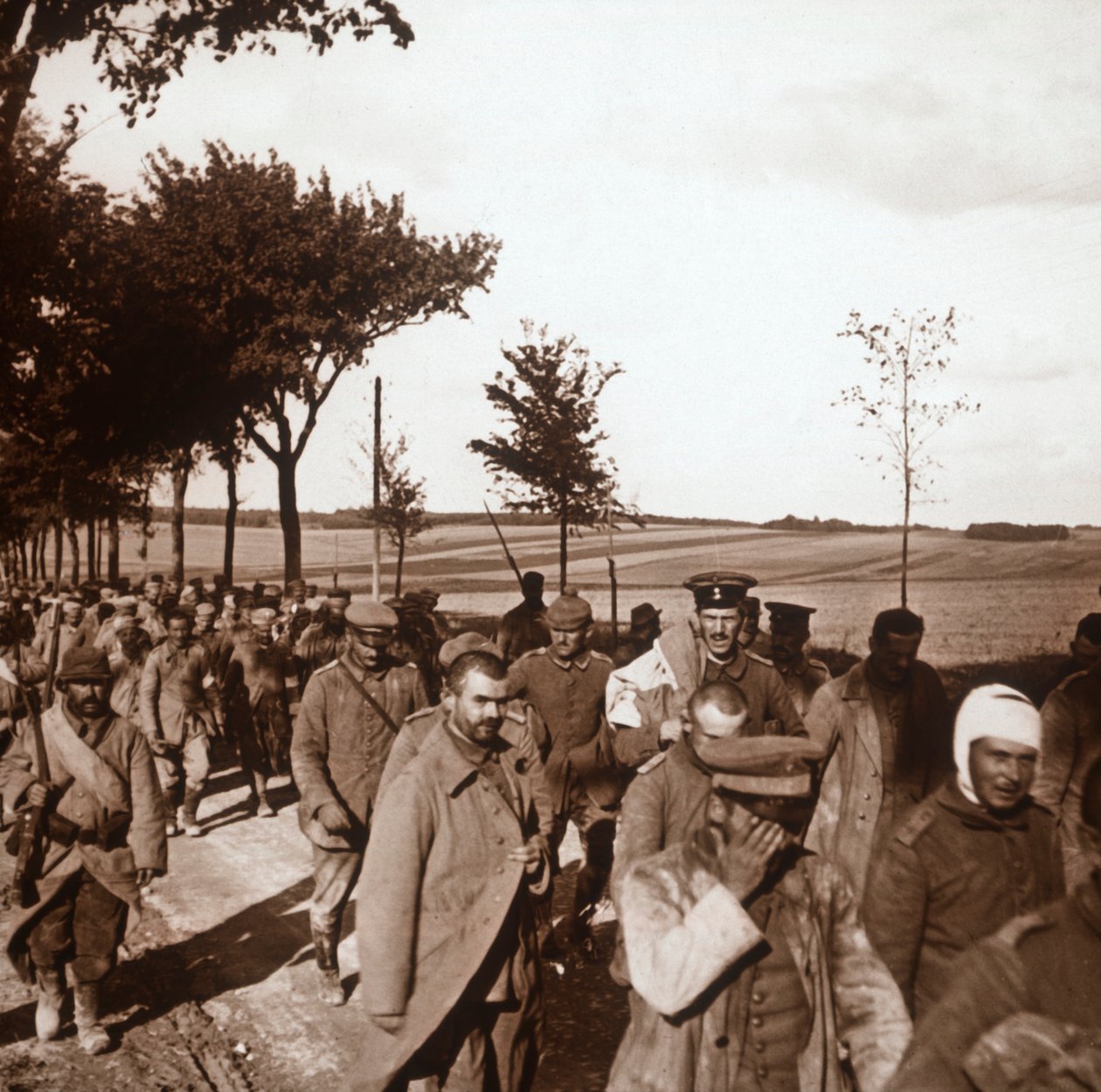 Prisioneiros, Champagne, norte da França, c1914-c1918 de Unbekannt