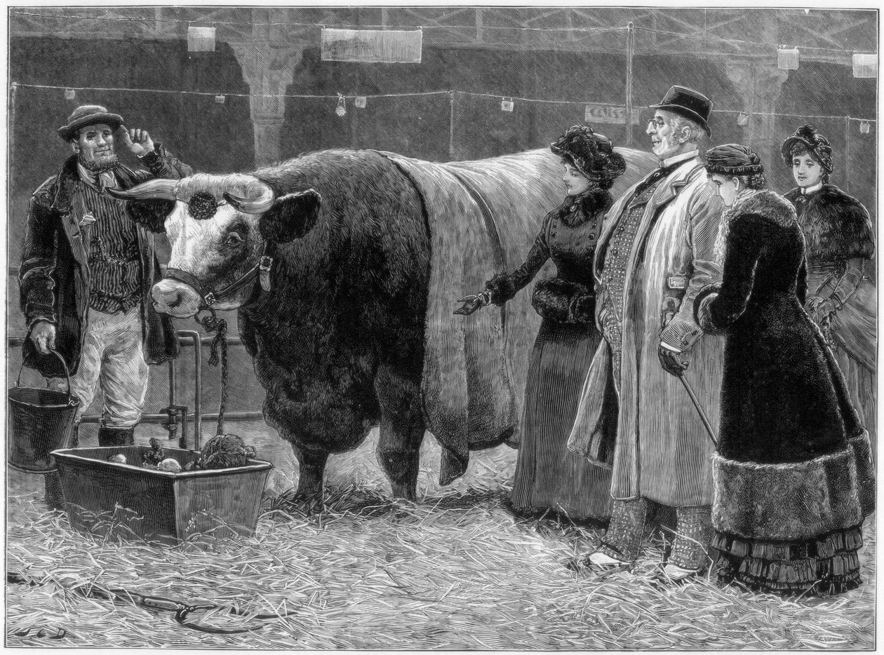 Prêmio Bull, 1883 de Unbekannt