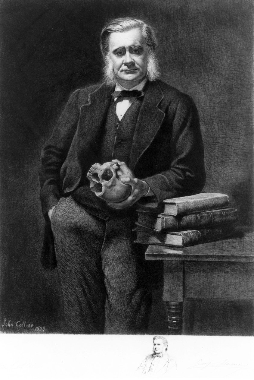 Professor Thomas Henry Huxley, biólogo inglês de Unbekannt