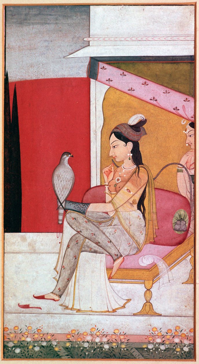 Ilustração punjabi de uma senhora com um falcão. de Unbekannt