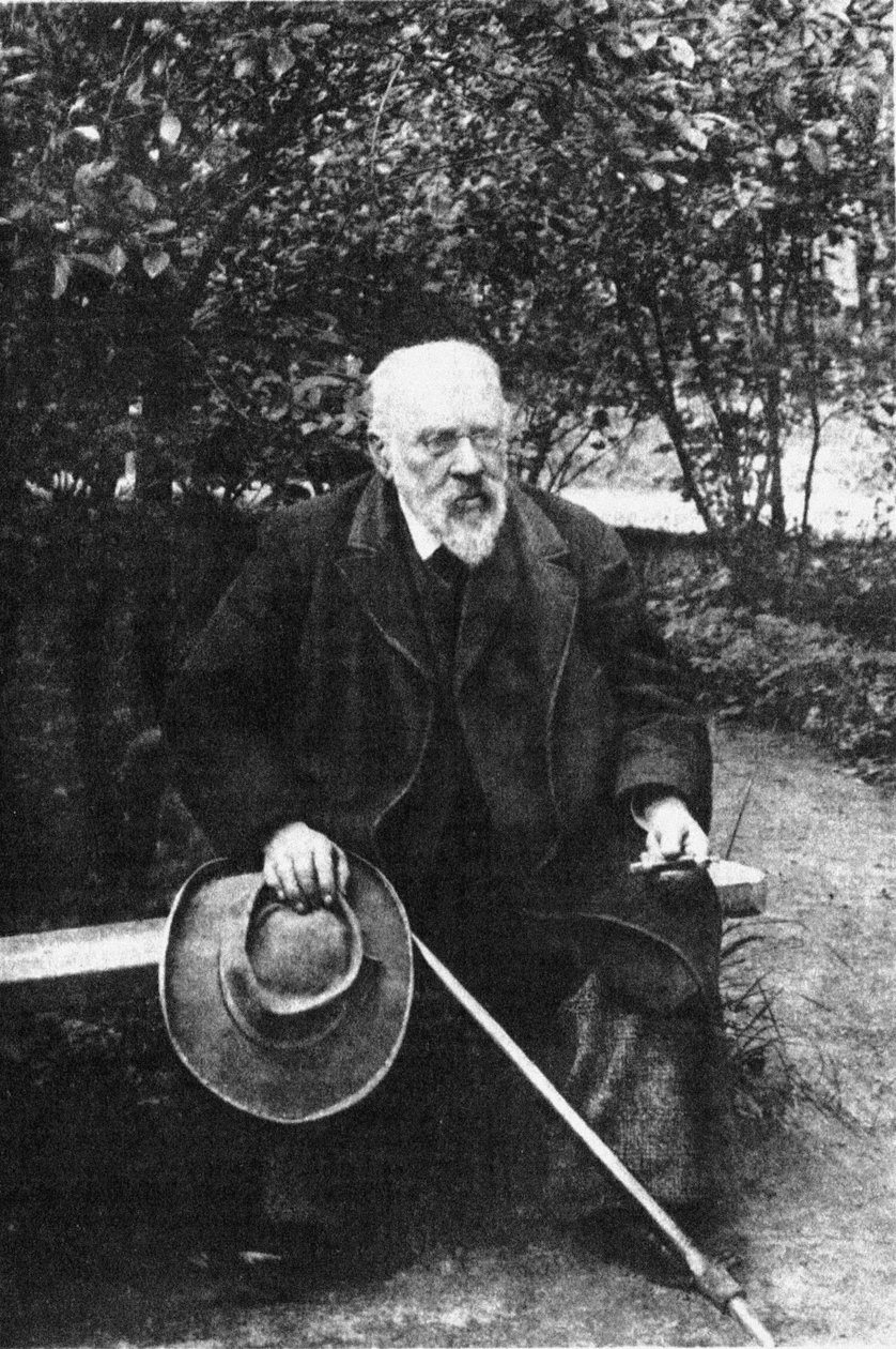 Pyotr Ivanovich Bartenev 1829-1912, anos 1900 de Unbekannt