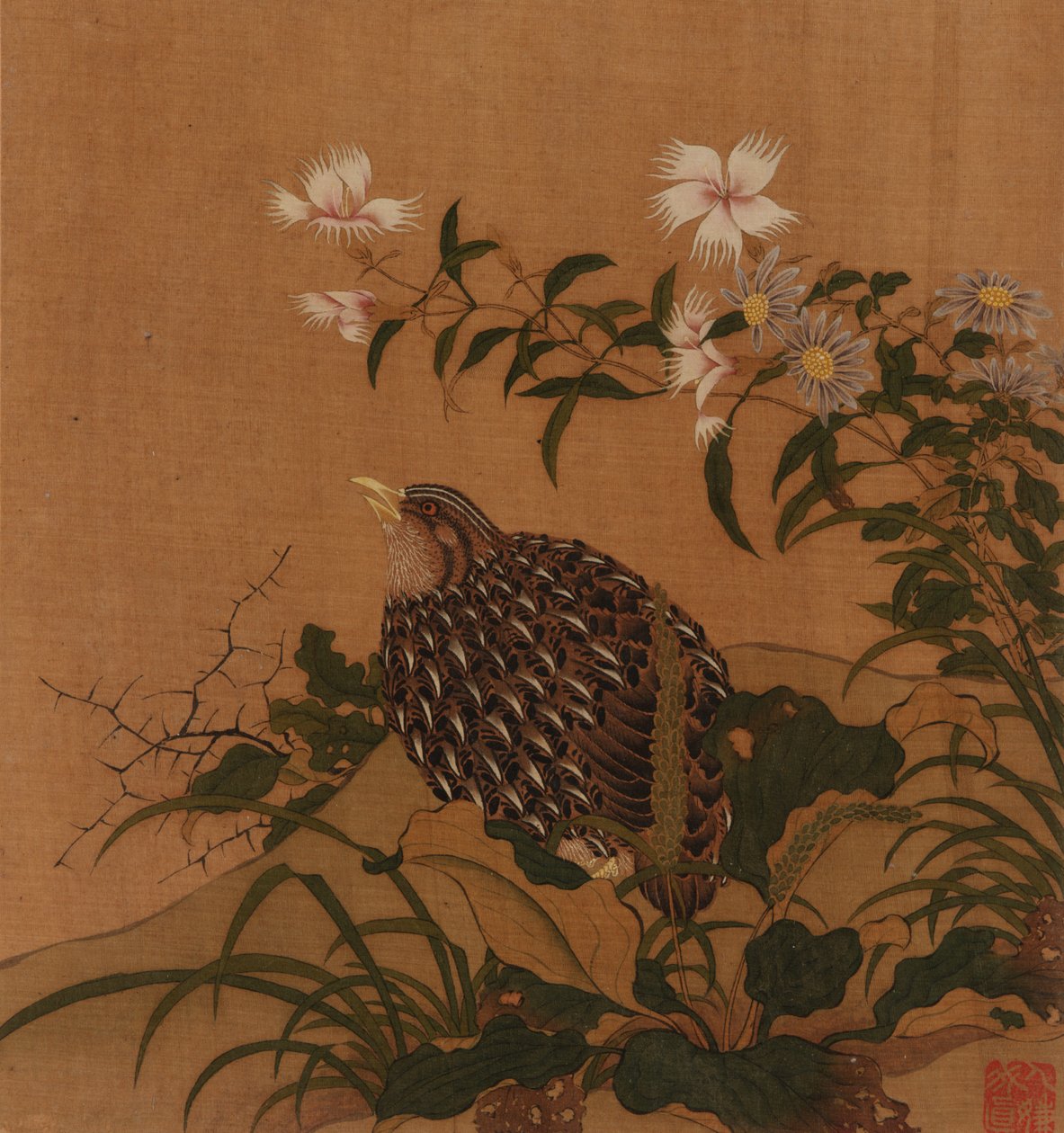 Codorniz e flores, dinastia Qing, século XVIII. de Unbekannt