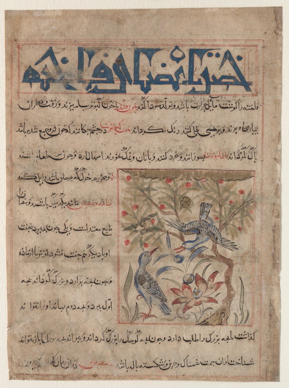 Qualidades de Ringdoves reto, Sobre os benefícios de codornas verso ..., c. 1300 de Unbekannt