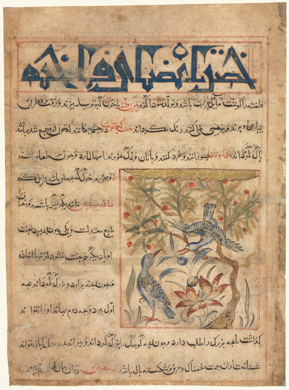 Qualidades de Ringdoves retomadas de um Manafi al-Hayawan Sobre a Utilidade dos Animais, c. 1300 de Unbekannt