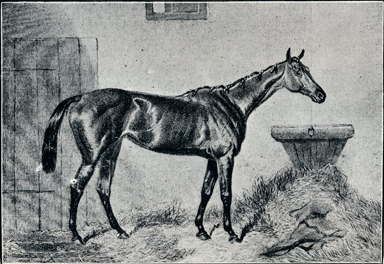 Rainha Bertha, século XIX, 1911 de Unbekannt