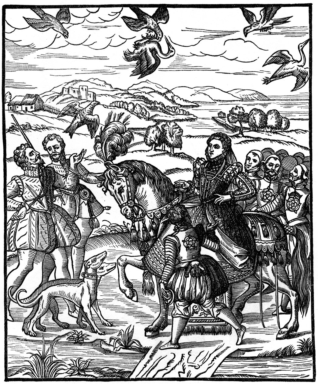 Rainha Elizabeth I Hawk, 1575, 1910 de Unbekannt