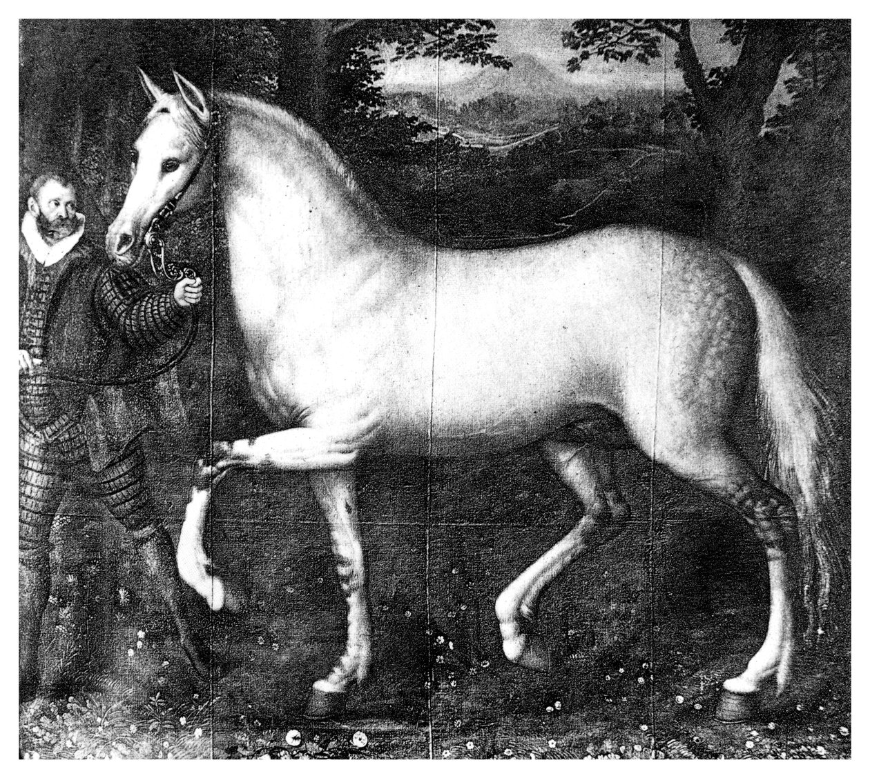 Rainha Elizabeth É cavalo, 1896 de Unbekannt