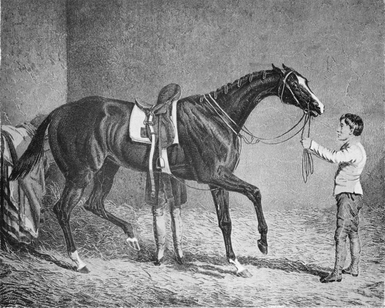 Rainha dos Trunfos, 1832-1843, 1911 de Unbekannt