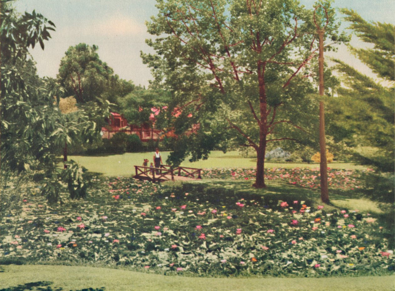 Queens Gardens, c1947. de Unbekannt