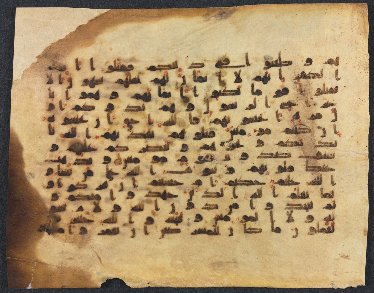 Alcorão manuscritos fólio certas, 800s-900s. de Unbekannt