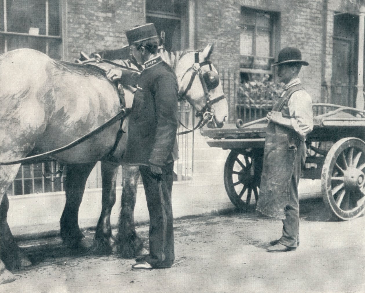 Inspetor da RSPCA examinando um cavalo, c1903 1903 de Unbekannt