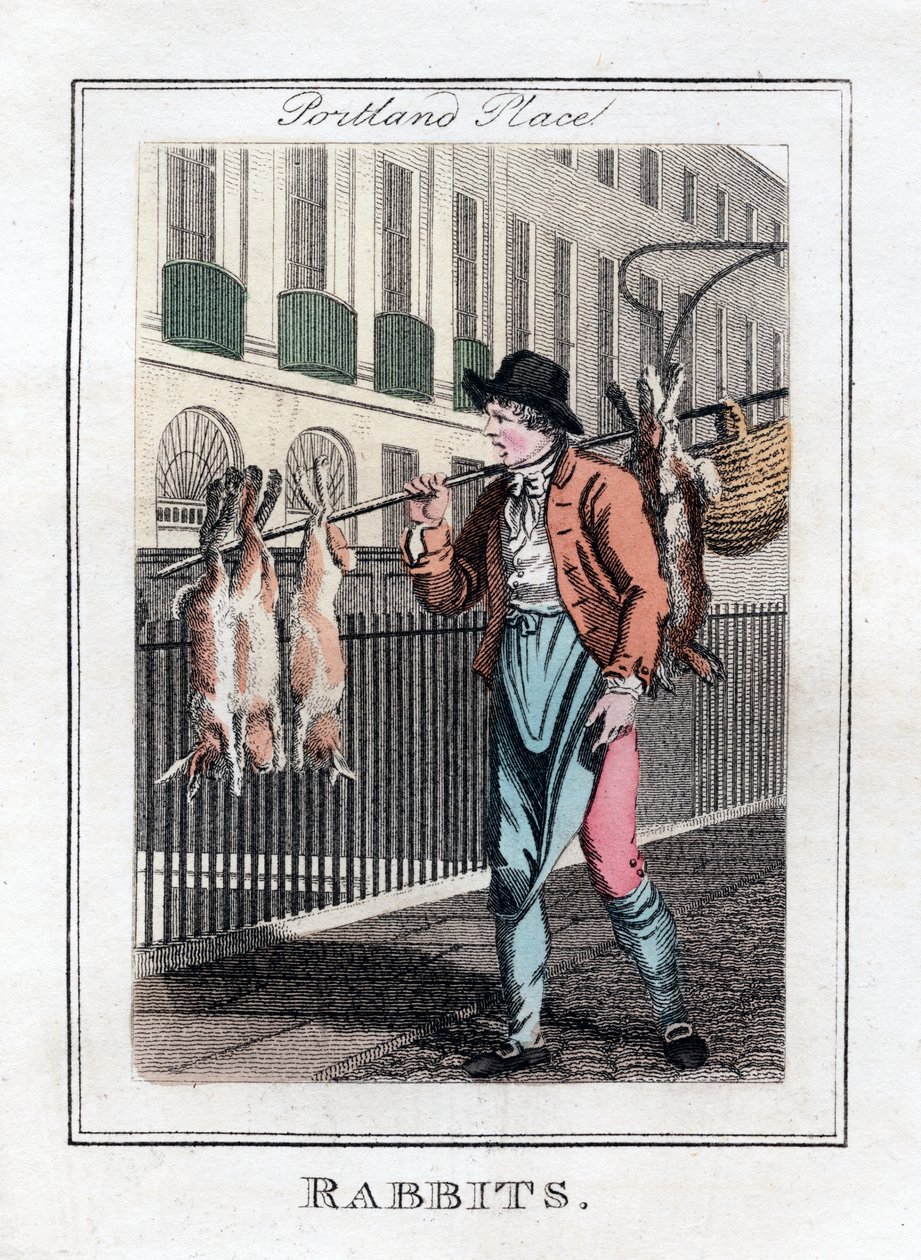 Coelhos, Portland Place, Londres, 1805 de Unbekannt