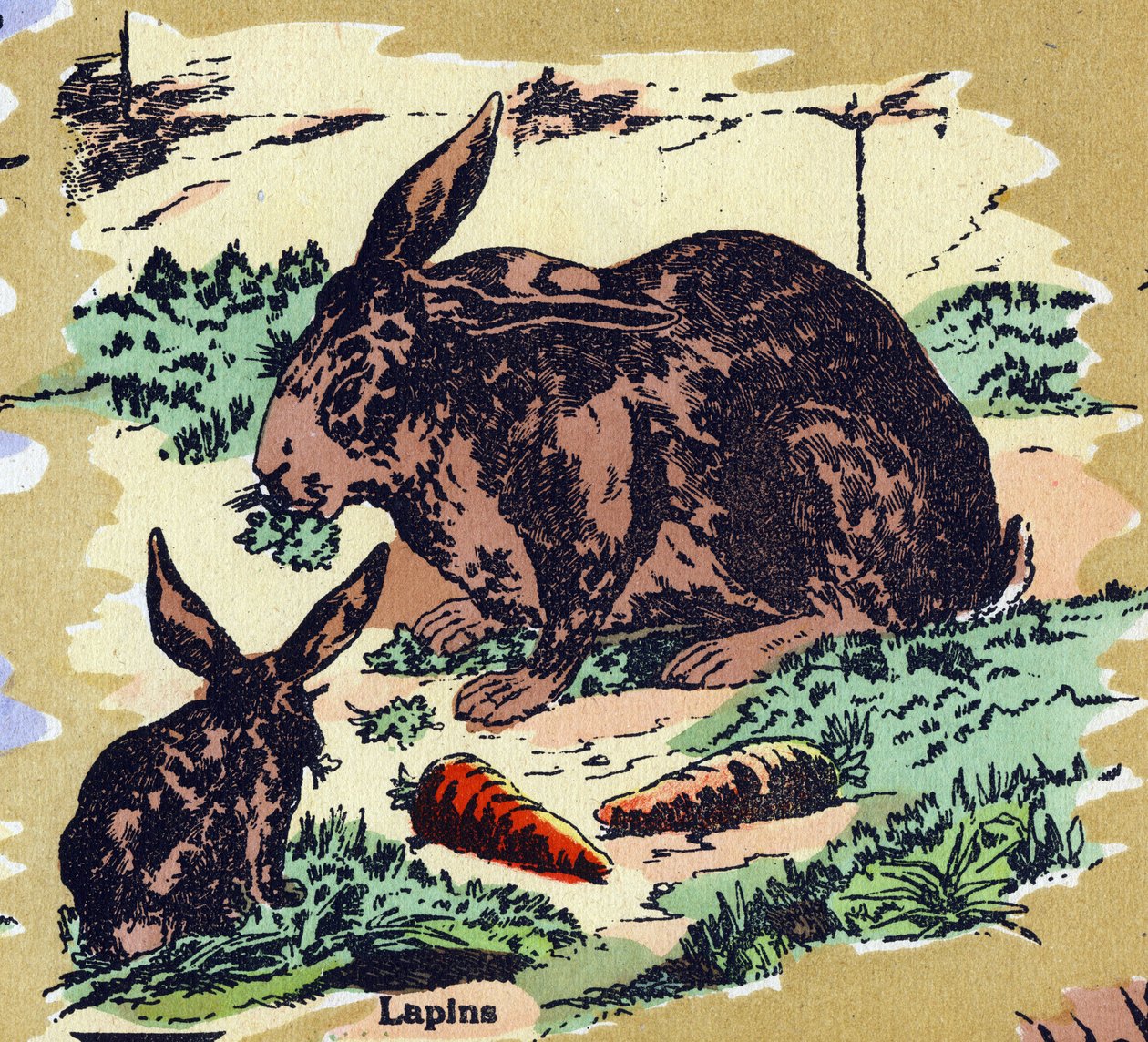 Coelhos e cenouras. Alfabeto ilustrado. Imagens reunidas em Jarville-Nancy, início do século XX. Dimensões: 40 x 29 cm. Litografia sobre fundo de bistre. de Unbekannt