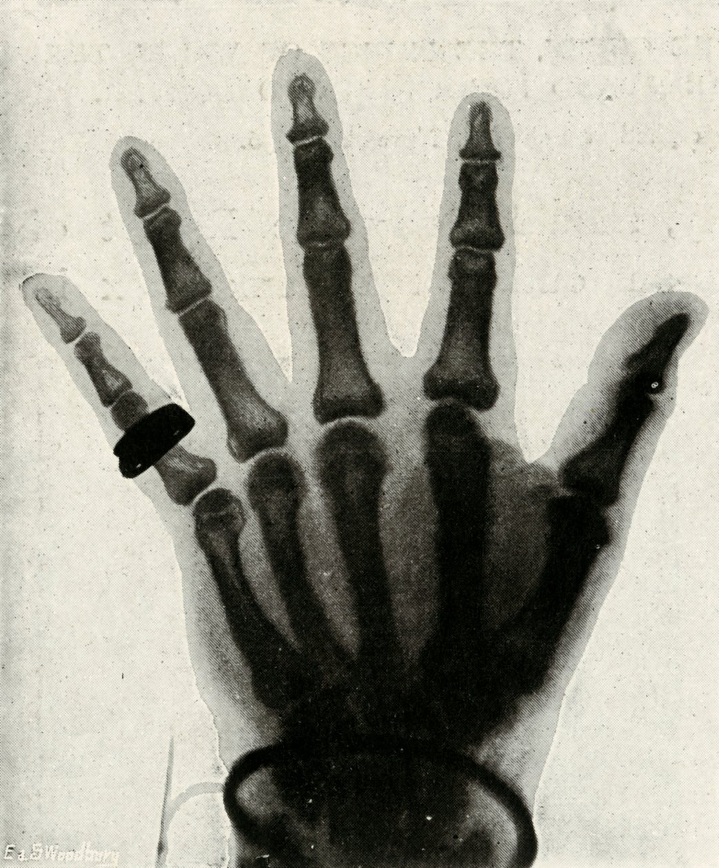 Radiografia da mão de HRH O Príncipe de Gales, c1897 de Unbekannt