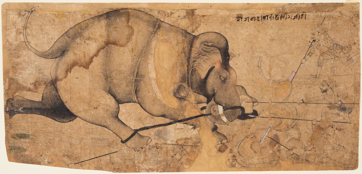 Rao Ram Singhs Elephant Gone Amok, c. 1700 de Unbekannt