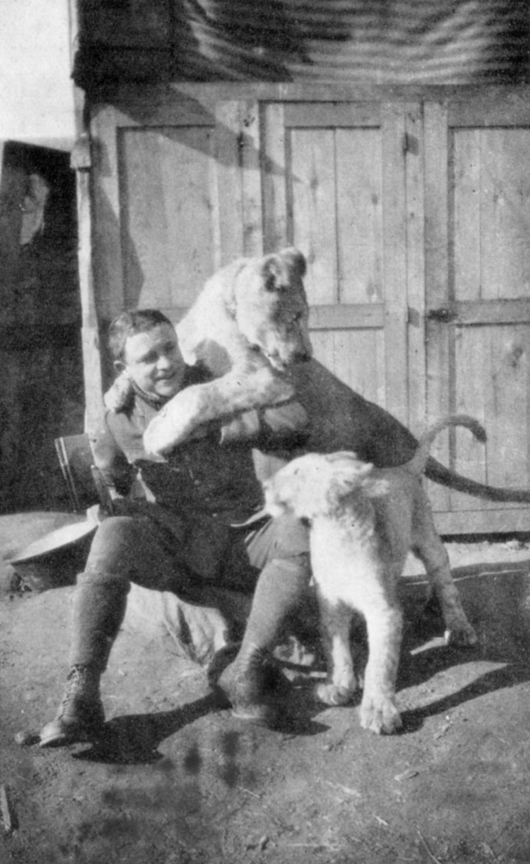 Raoul Lufbery, piloto de caça franco-americano e ás da Primeira Guerra Mundial, 1917 de Unbekannt
