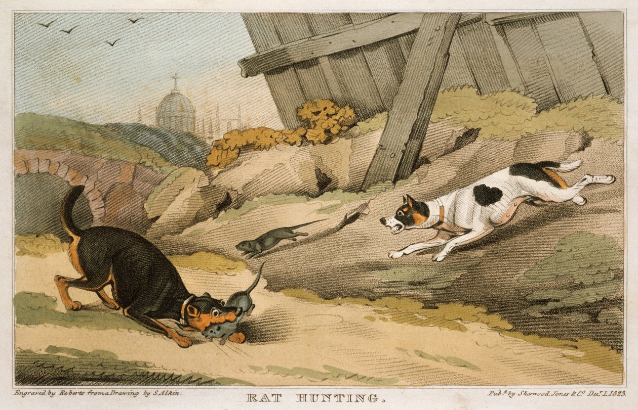 Caça ao rato, 1823 de Unbekannt