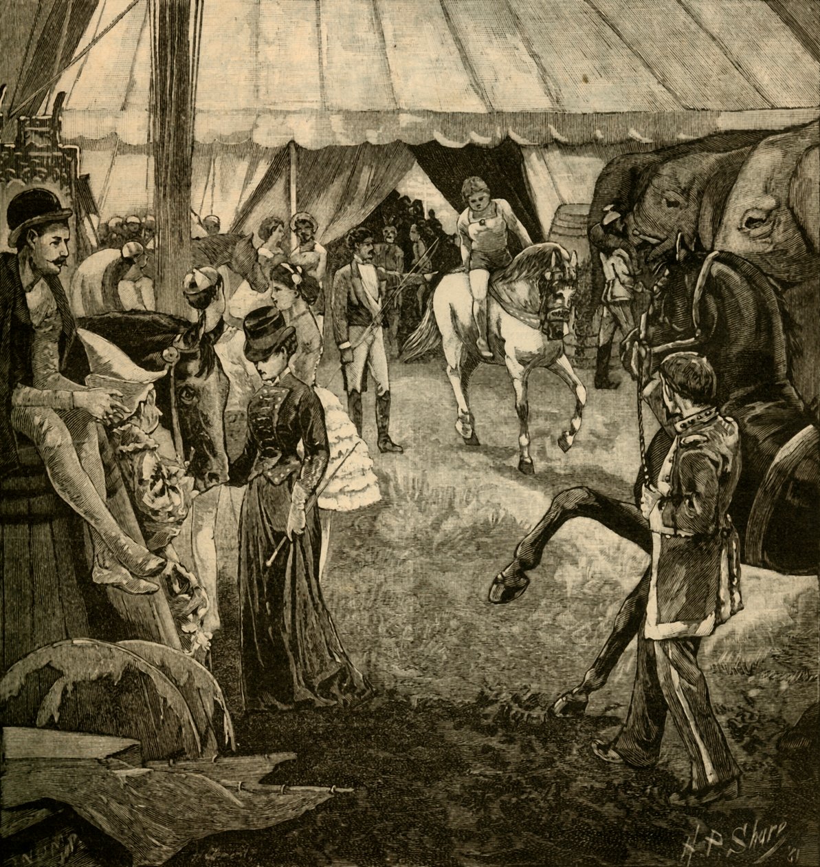 Pronto para ser chamado para o ringue, 1882. de Unbekannt