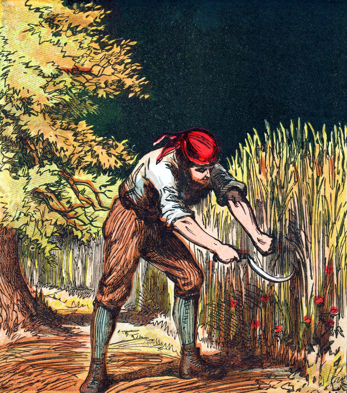 Ceifeira começando a cortar a colheita de trigo com uma foice, 1867 de Unbekannt