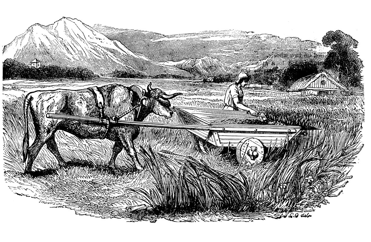 Reconstrução do carrinho de colheita romano, conforme descrito por Pliny, Engraving, 1860 de Unbekannt