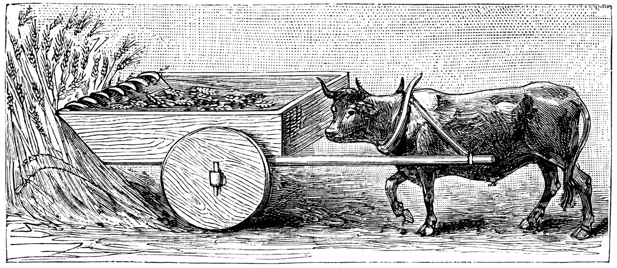Reconstrução da máquina de colheita usada na Gália nos tempos romanos antigos, conforme descrito por Plínio, c1890 de Unbekannt