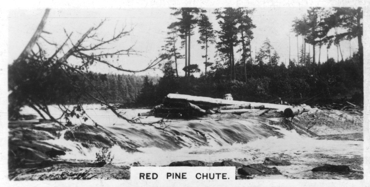 Red Pine Chute, Canadá, c1920s de Unbekannt