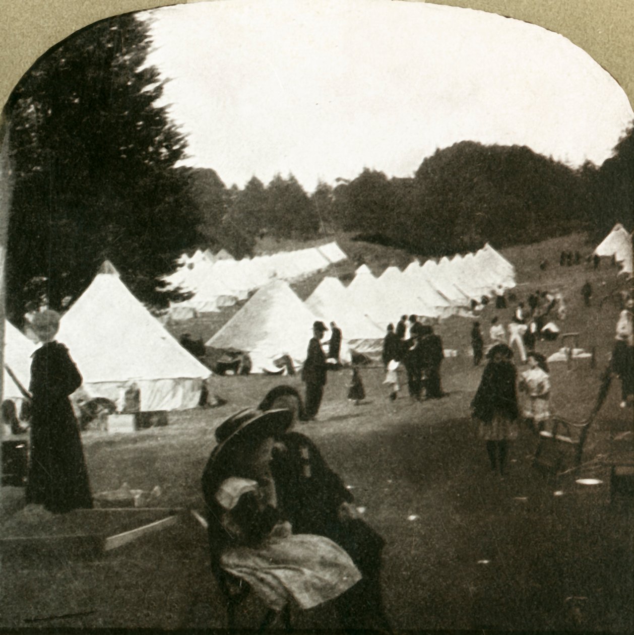 Os refugiados acampam em campos de baile no Golden Gate Park, 1906. de Unbekannt
