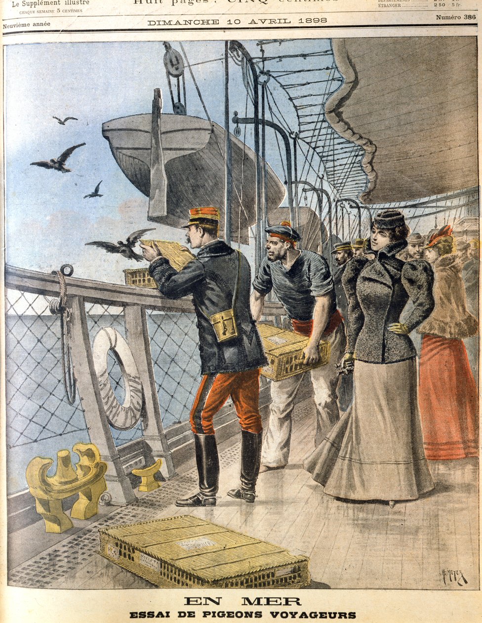 Liberando pombos-correio do exército francês a bordo do transatlântico La Bretagne, 1898 de Unbekannt