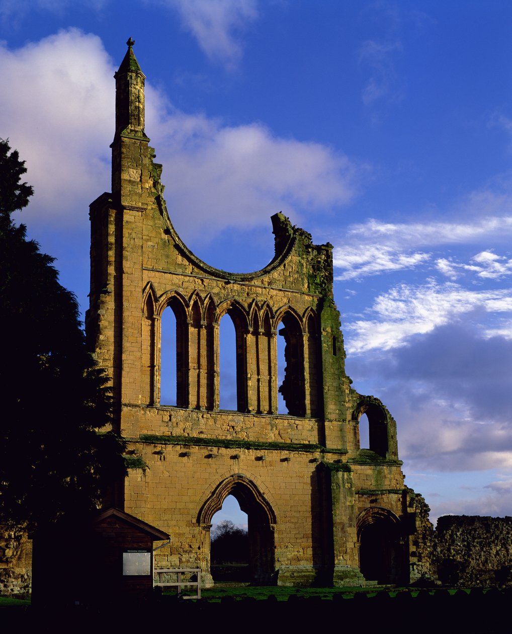 Restos da fachada, Abadia de Byland, North Yorkshire (foto) de Unbekannt