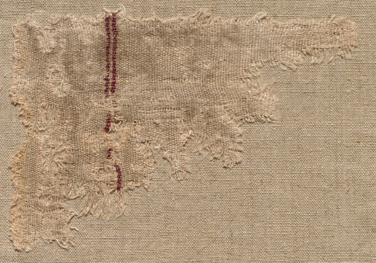 Rep Cloth, século III. de Unbekannt