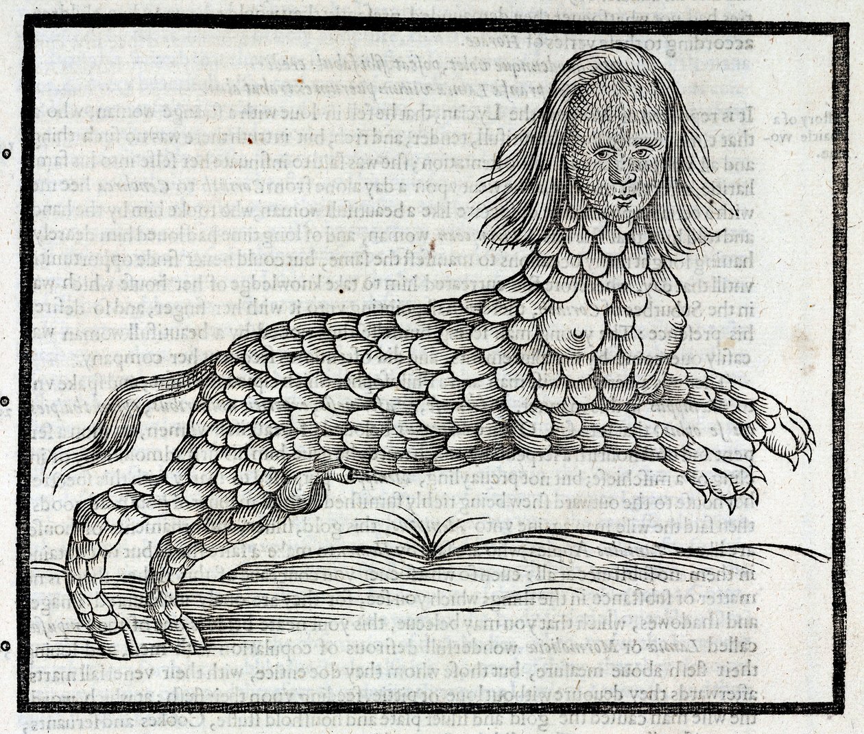 "Representação da criatura Lamia (Sybaris) Gravure tiree de "History of Four-Footed Beastes" d
