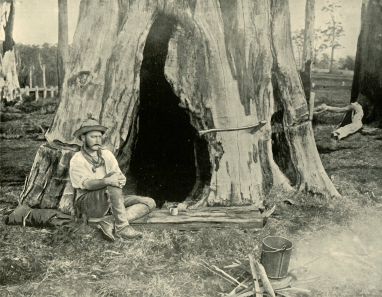 Rest, 1901. de Unbekannt