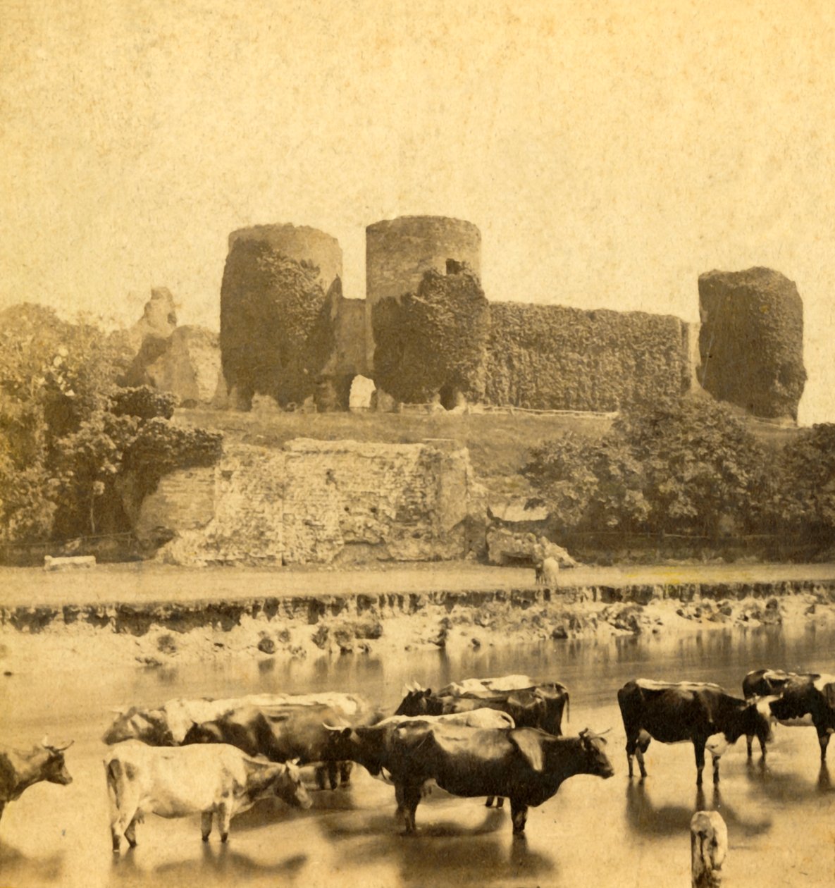Rhuddlan - castelo do rio, c1900. de Unbekannt