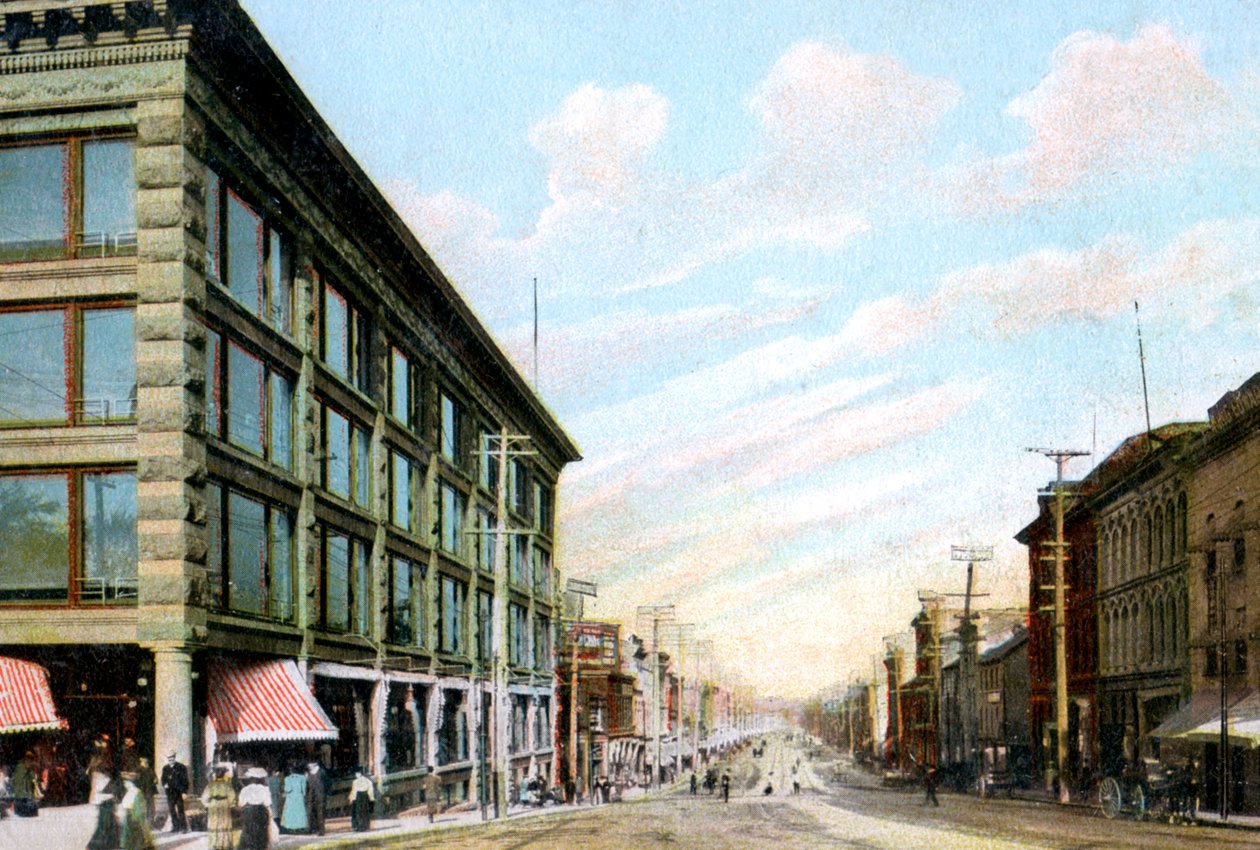 Rideau Street, Ottawa, Canadá, c1900s de Unbekannt