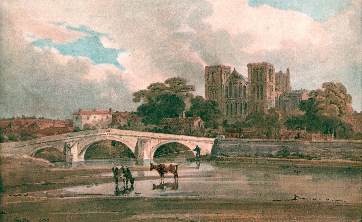 Catedral de Ripon, c1800, c1900. de Unbekannt