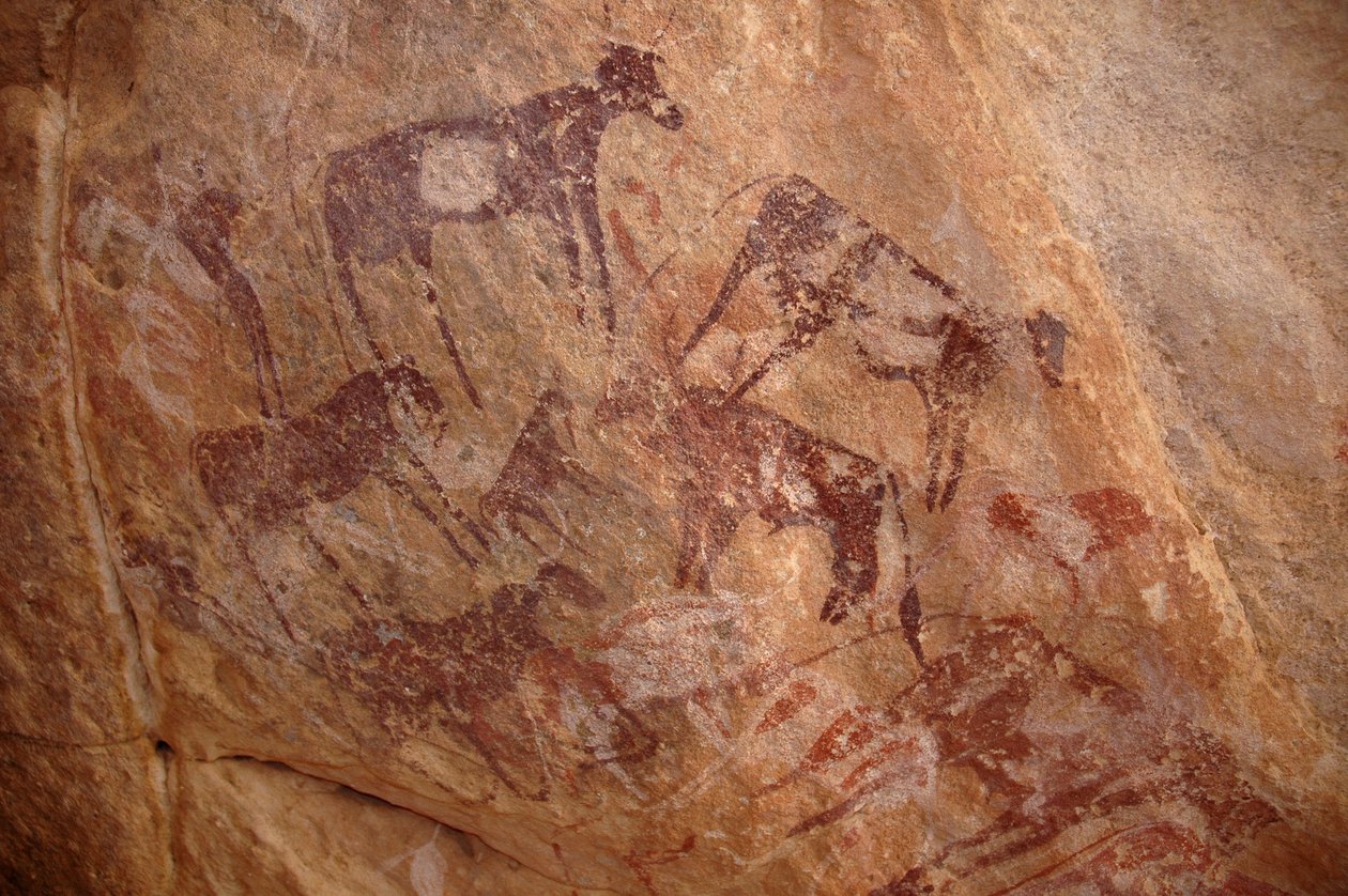 Arte rupestre, Pré-história: Pintura de um grupo de gado e personagens em um abrigo ornamentado, no maciço de Uweinat, Sudão (Karkur-Talh ou Karkur Talh). Período de 8000 a 3000 anos antes de Cristo. Fotografia de Unbekannt