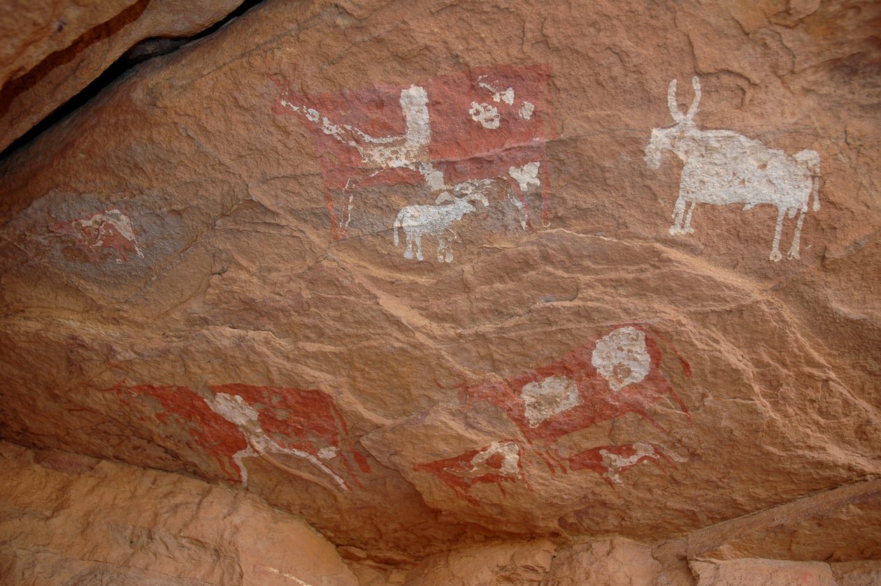 Arte rupestre, Pré-história: Pintura rupestre de um grupo de gado e ovelhas em um abrigo ornamentado, no maciço de Uweinat, Sudão (Karkur-Talh ou Karkur Talh). Período de 8000 a 3000 anos antes de Cristo. Fotografia de Unbekannt
