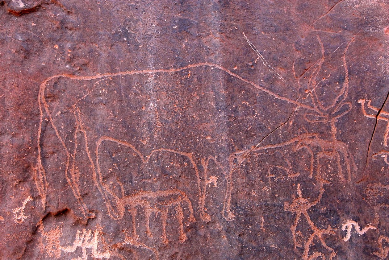 Pinturas rupestres em Inchalt, GHAT, LIBYE de Unbekannt