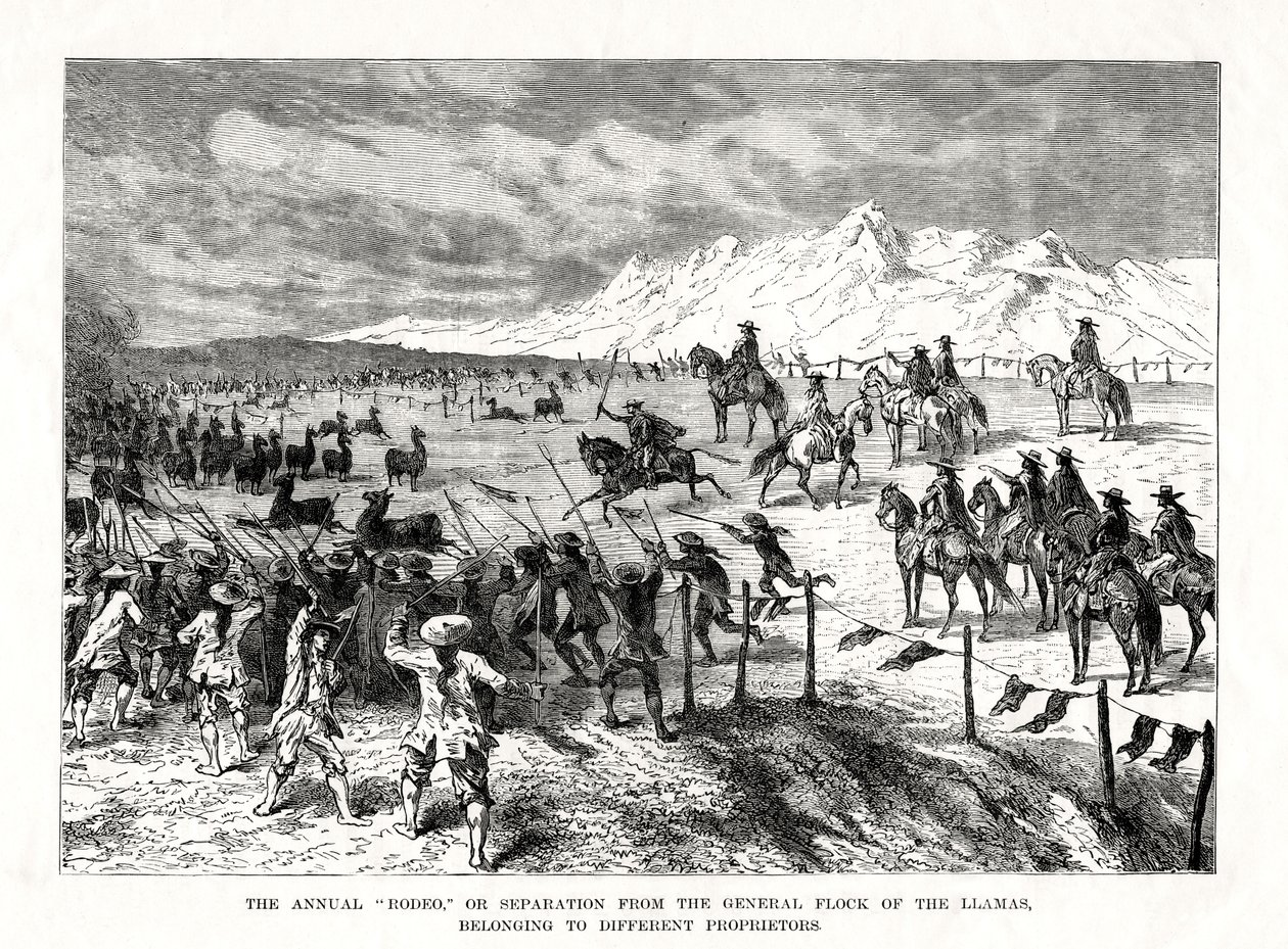 Rodeio, América do Sul, 1877 de Unbekannt