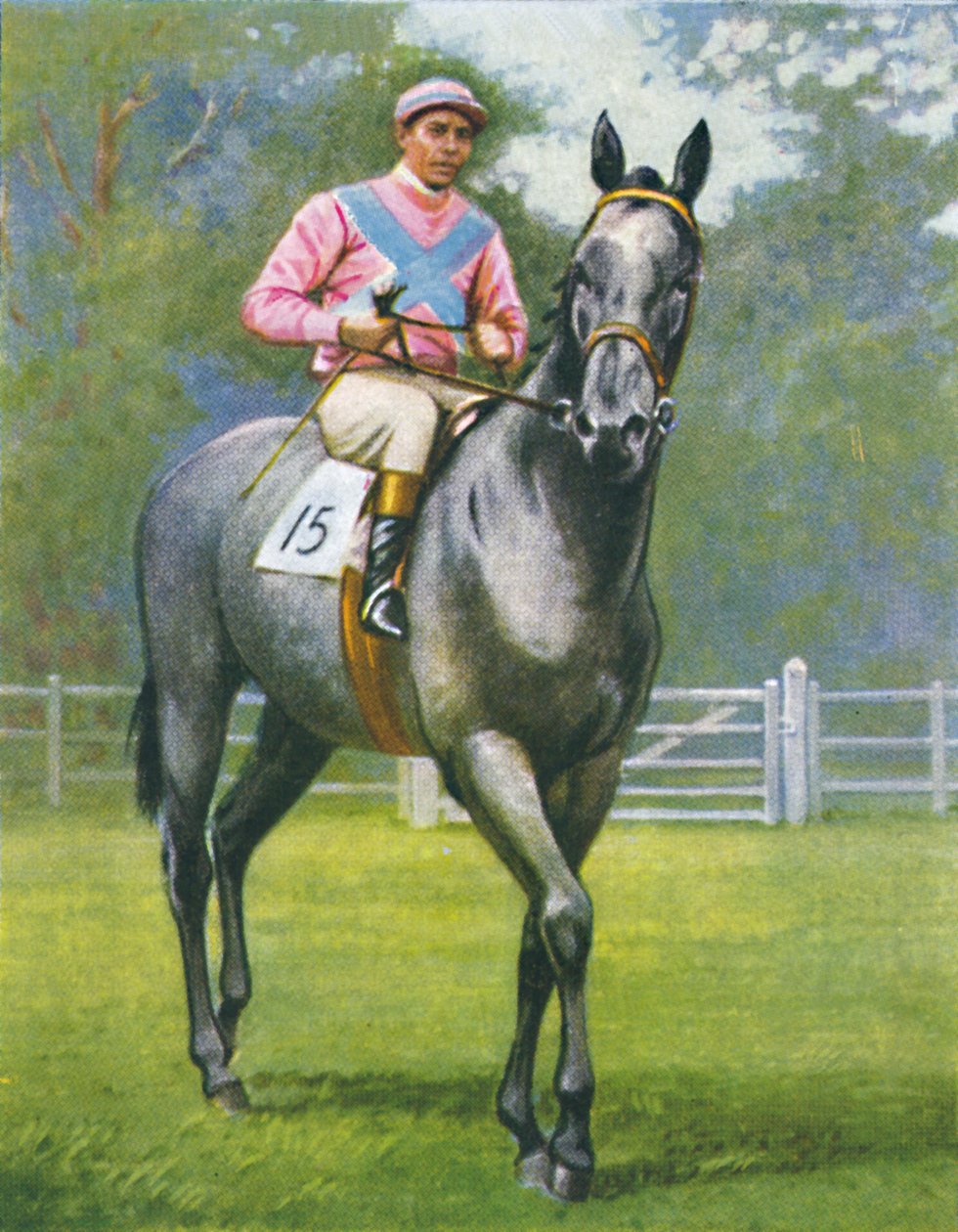 Rogerstone Castle, Jóquei: EC Elliott, 1939 de Unbekannt