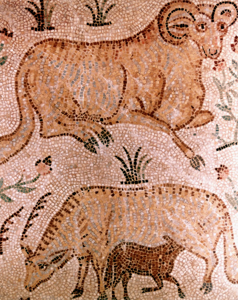 Mosaico romano de um carneiro, uma vaca e bezerro, século IV dC de Unbekannt